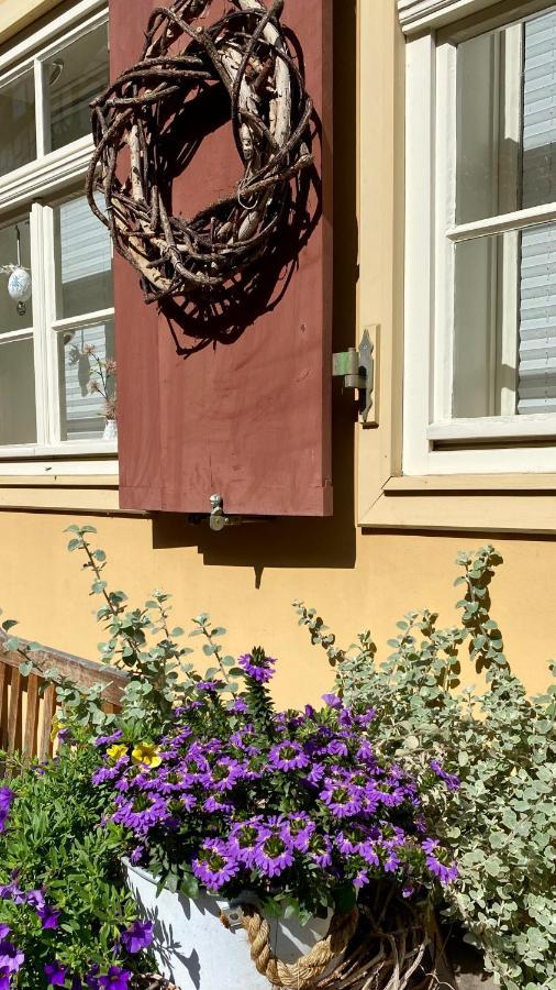Ferienwohnung Helene Im Einzeldenkmal - Lange Gasse 29 Quedlinburg Kültér fotó